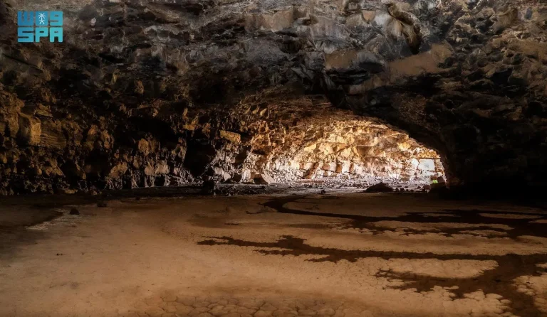 Cultural / The Heritage Authority announces the discovery of new scientific results in Umm Jarsan Cave in Medina