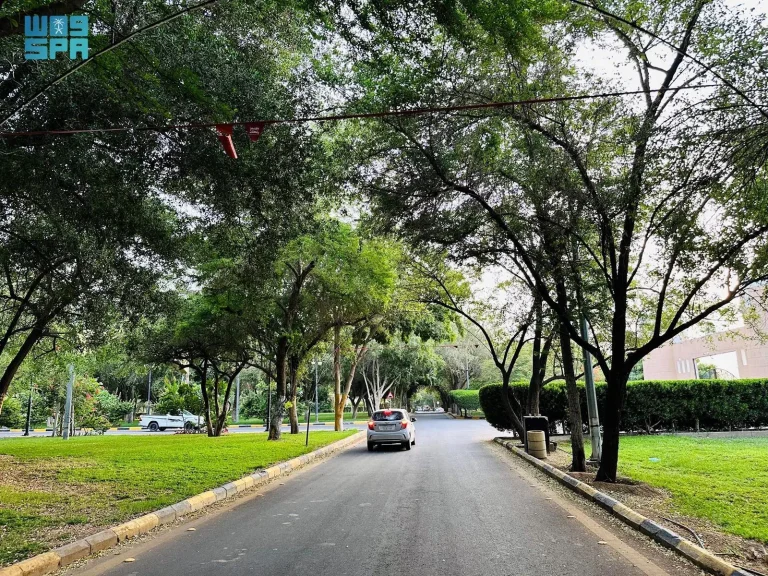 King Fahd Park in Najran: A Green Oasis for Families during Summer Vacation